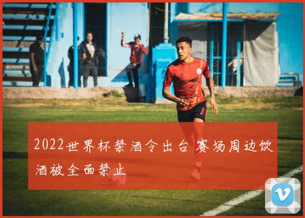 2022世界杯禁酒令出台 赛场周边饮酒被全面禁止