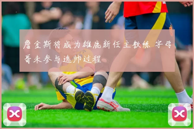 詹金斯将成为雄鹿新任主教练 字母哥未参与选帅过程