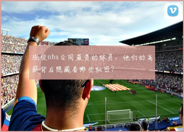 现役nba合同最贵的球员，他们的高薪背后隐藏着哪些秘密？