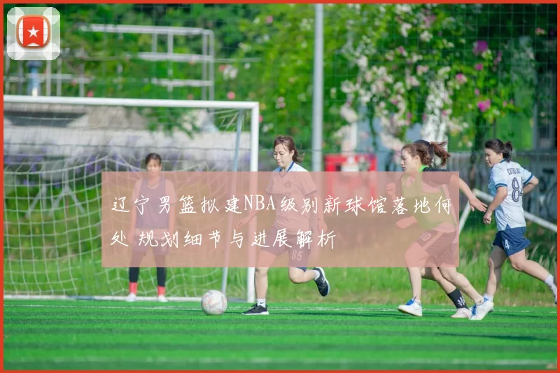 辽宁男篮拟建NBA级别新球馆落地何处 规划细节与进展解析